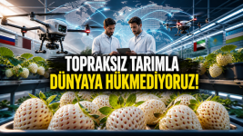 dfadd48f-08a9-424b-9da4-d5d44c538f51.png