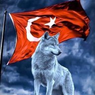 Kocakurt