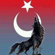 Baykoca03
